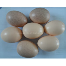 Promotion Gift Egg Shaped PU Foam Anti-Stress Ball